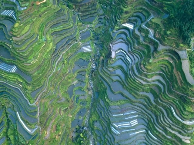 航拍融水苗寨梯田,今朝培秀酒香茶浓人更美!