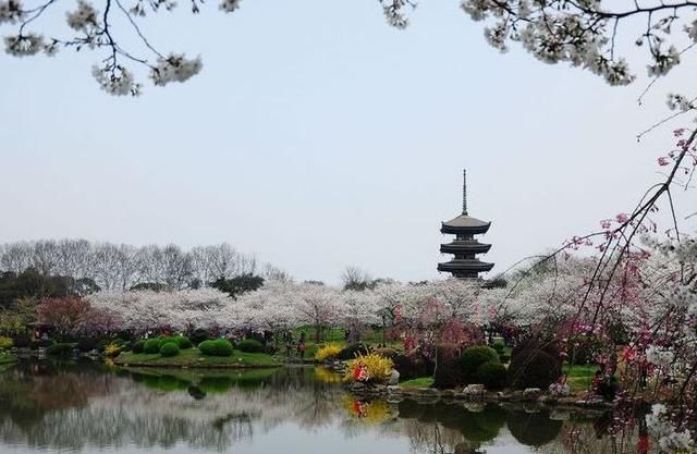 特大城市湖北只此一家，已定性为国家核心城市，未来发展力追上海