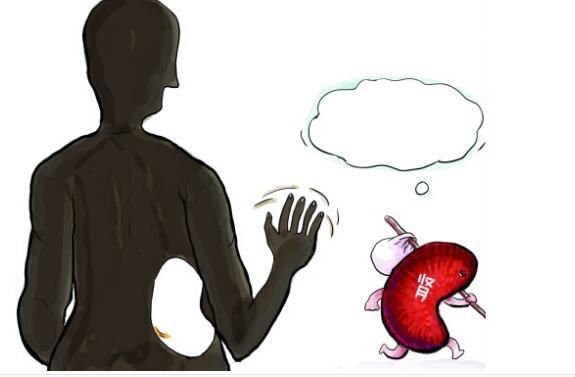 肌酐高了说明肾功能已经下降严重了?