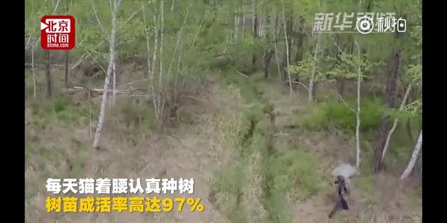 黑龙江老人坚持种树20年，种植上百万棵树，成就大森林