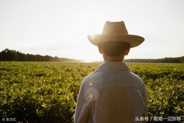 农村俗语，关于下雨的，看完感觉每句都准的“可怕”！