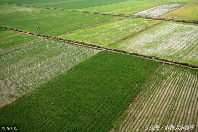 农民没地怎么办？这3种方案，你可以试试