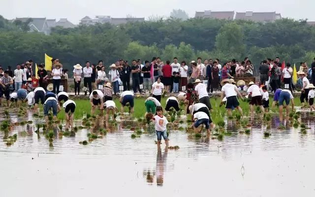 大写的艳遇！鲜甜爆汁的黑布林，脆甜爽口的大黄桃...就在富阳东