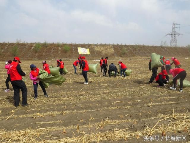 奋进蒲公英、环保在行动北湖科技开发区奋进