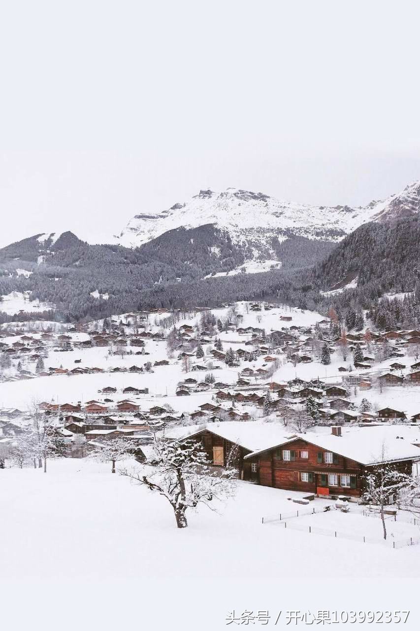 53张适合做手机壁纸的精美竖版雪景图片集,希