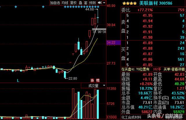 3.02目标：新安股份、乐视网、美联新材、华森制药