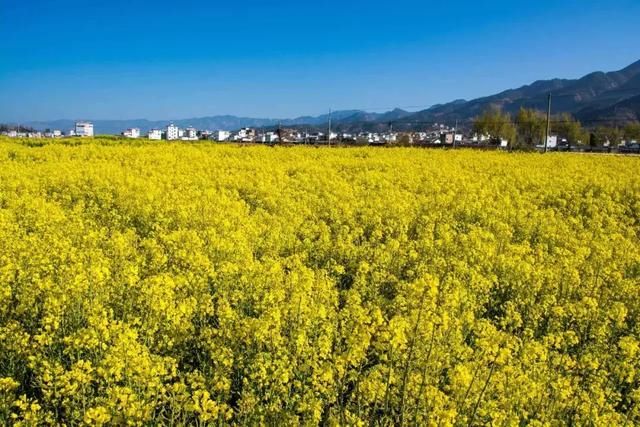 3月，美的不仅是丽江，更是丽江旁边的这座小城！