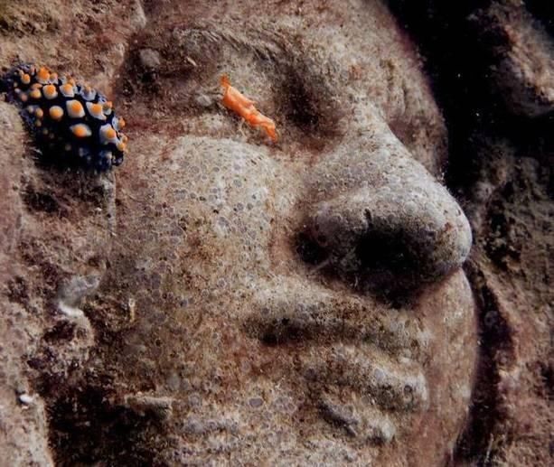 深海潜水,发现神秘“人脸头像”,潜水员吓的腿抽筋