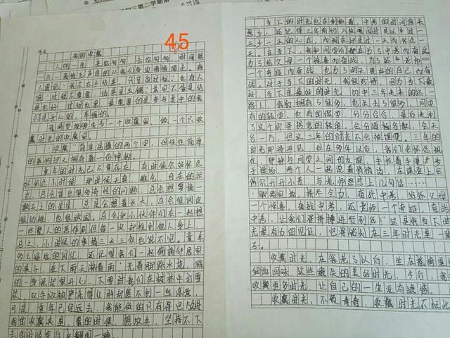 辅导作文中考_中考辅导作文_全真中考满分作文分类全辅导