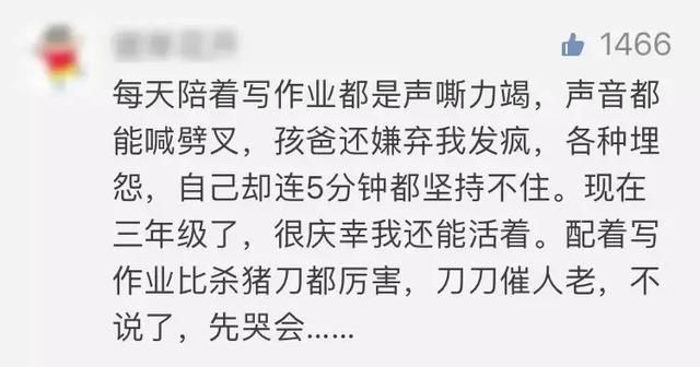 青岛这群被\＂逼疯\＂家长，终于解放了...哈哈哈，看到最后又心