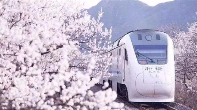 【每月在路上】三月,送你最in的赏花攻略,十大赏花胜地,愿你不