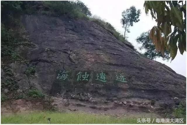 深中通道、深茂铁路...以后去中山更方便了!吃喝玩乐攻略快收藏~