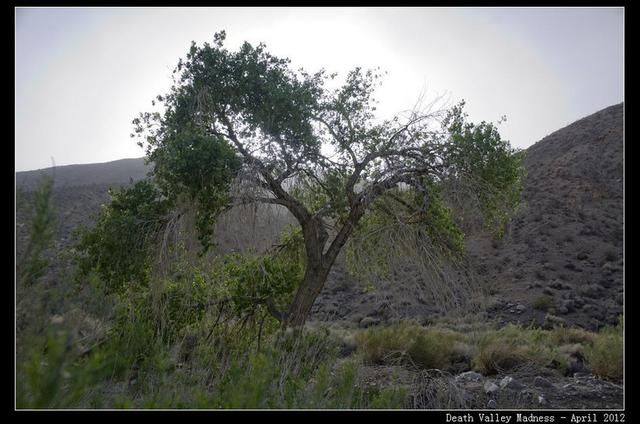 一 死亡谷国家公园