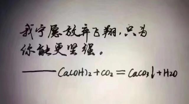 只有理科生才能看得懂的感情段子