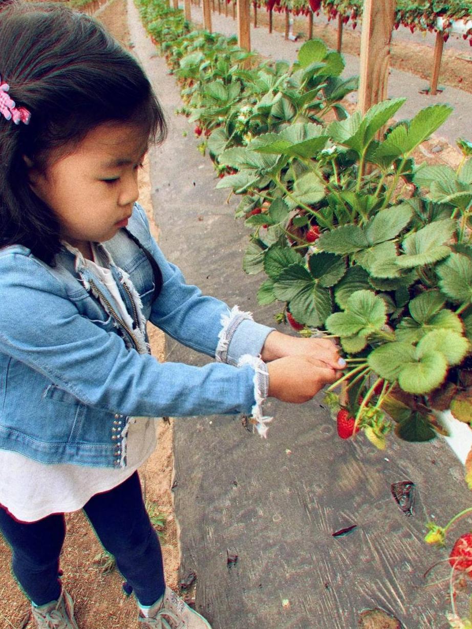 章子怡被曝怀二胎后晒与醒醒的农场游玩照,母