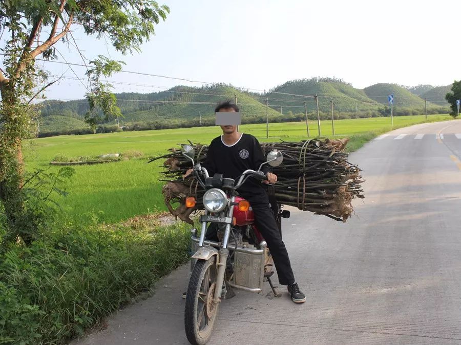 男子三年前的交通违法未处理,三年后报考驾照