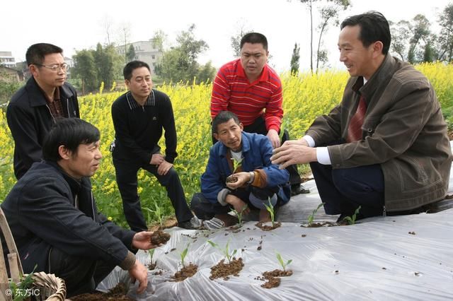 下个月，农村4样东西价格有涨有跌，每样都和农民息息相关！