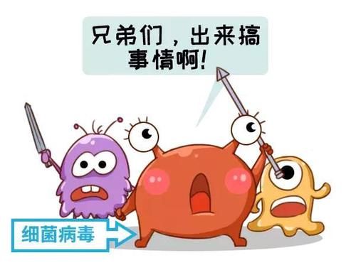 杭州感染肺炎在哪些地方