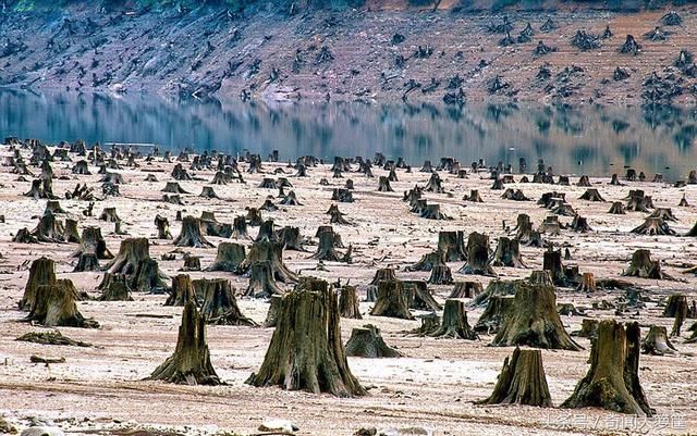 23张惊心动魄的地球真实照片