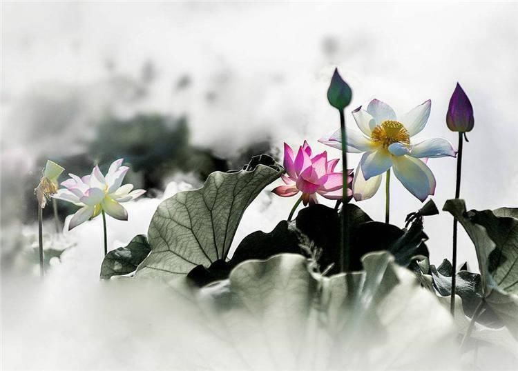 3日后步入上吉好运 三大生肖横财接连发