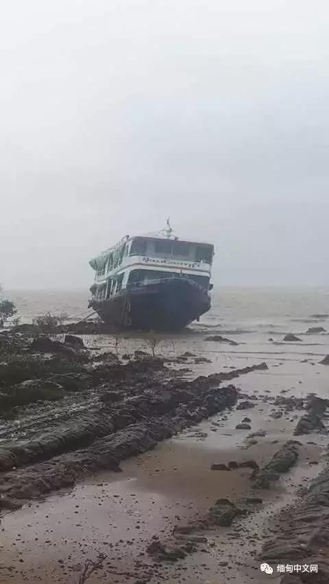 大风大雨太猛烈了！雨后的缅甸很受伤！