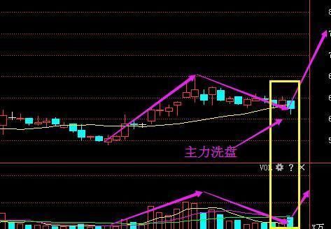 郑州一女教授说破股市:\＂尾盘买入\＂股市唯一获利铁定律,必须珍