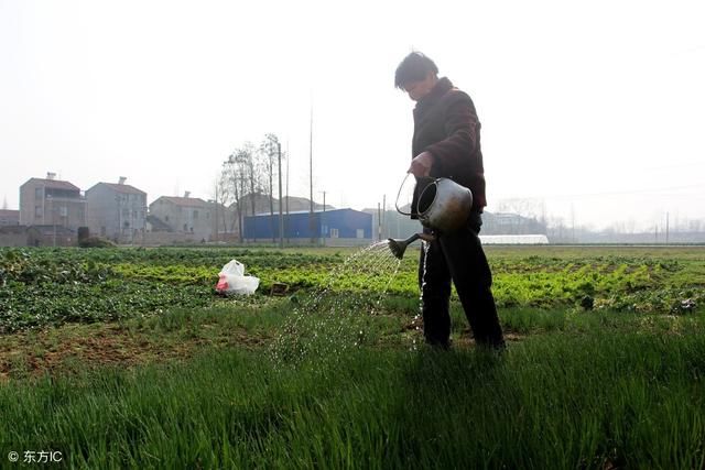 土地问答：没迁户口农民当初没分到地 新一轮土地确权是否有地？