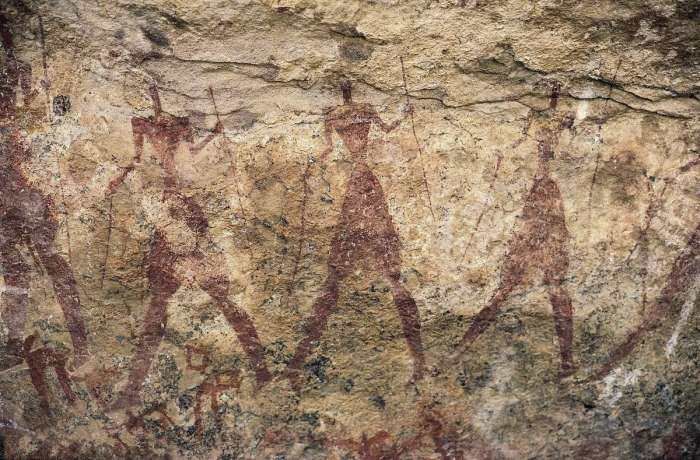 巴基斯坦国内最神奇的两棵树，一个满身“结网”，一个“被捕”