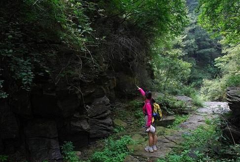 五一郑州周边不收门票景区盘点，有的还管接送!为抢游客也是拼了