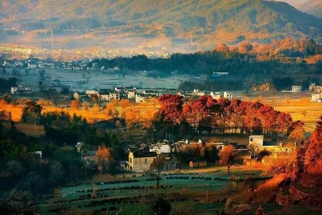 惊艳！杭州这条世界级黄金旅游铁路线即将开通！一路看遍国家级风