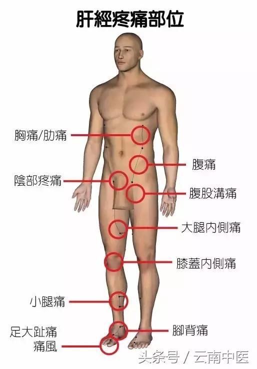 哪里有不适，就可能是哪里的经络出问题了