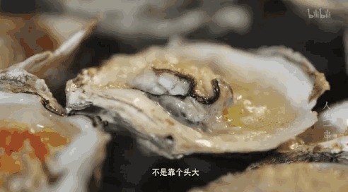 看完9.8分的《人生一串》,你得需要这份重庆烧