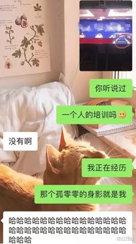 这是我见过很标准的一字马，不知道便宜了谁，哈哈哈