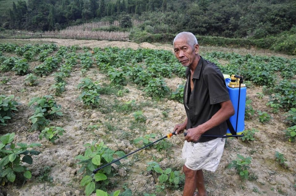 农村60老人还能干农活嘛，结果让人吃惊，是什么原因造成的