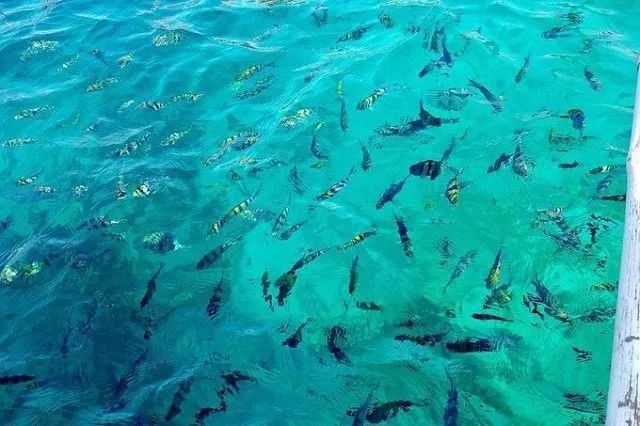 下一个假期去哪?推荐5个海岛给你，人均只要3k