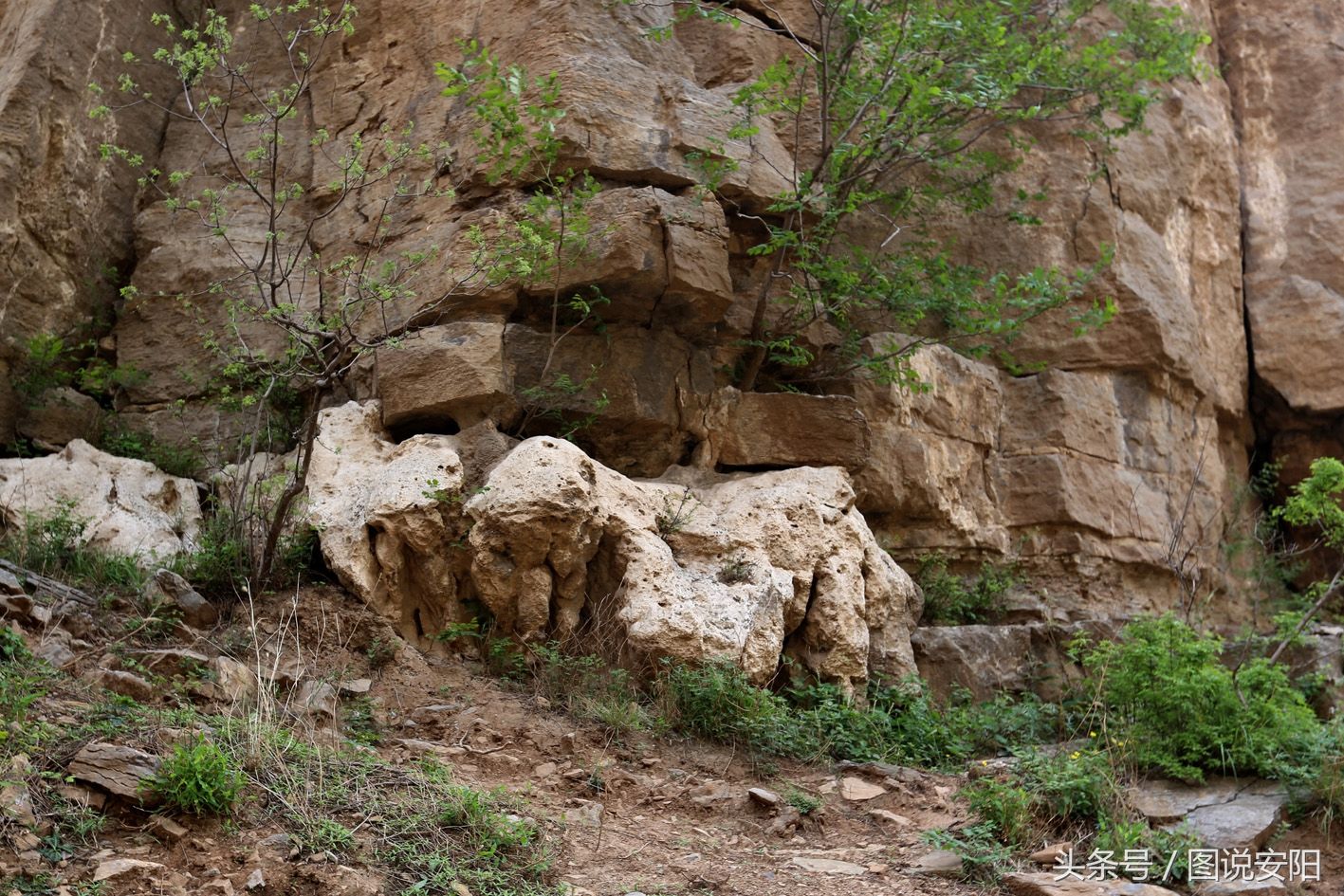 河南淇县:旅游帮扶贫困户 书记成了“店小二”