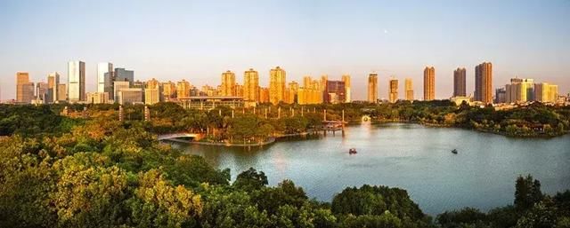 这次，佛山一不小心拿了全国第四！