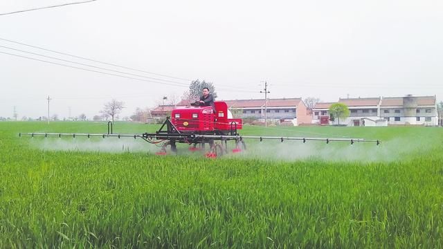 农业农村优先发展乡村产业