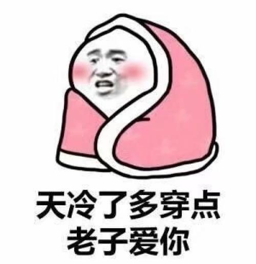 10个天冷不想回表情的信息,果然,天冷秒回你4度汽车搞笑图零下图片
