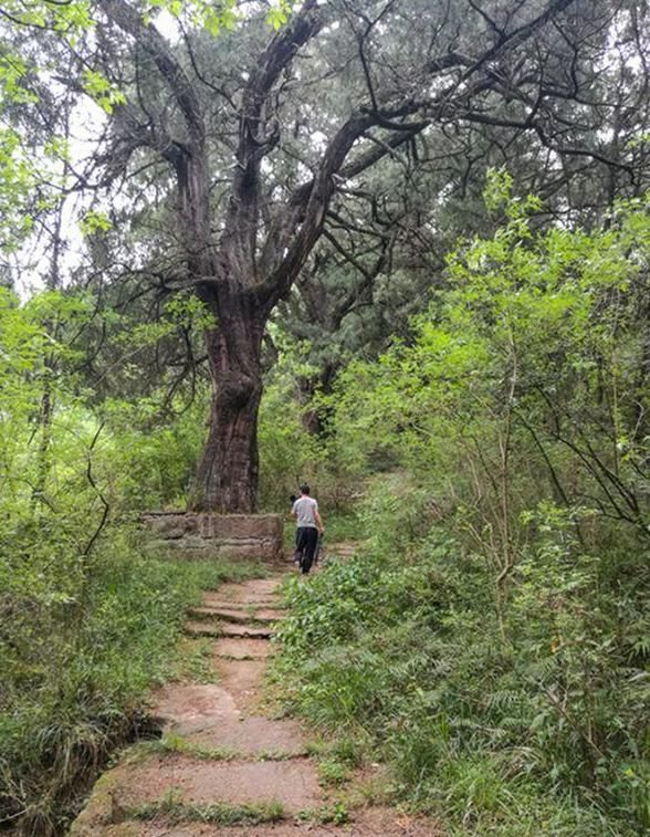 广元旅行，穿越古今历史，行走剑门蜀道，从汉阳铺到抄手铺！