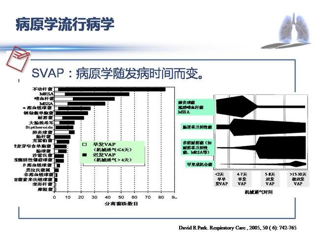 重症流感到重症肺炎的治疗