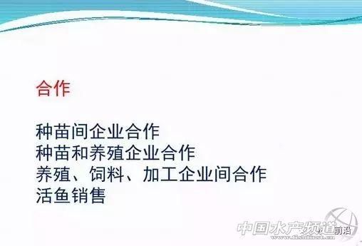 巴沙鱼或要引爆华南水产养殖业