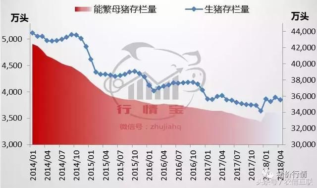 玉米价格跌至年内低点！分析师：供应缺口较大，秋收玉米涨价！