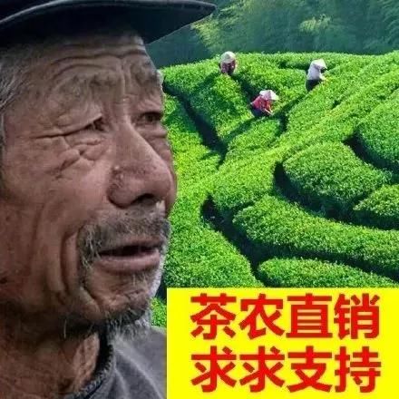 卖啥啥滞销!网友:房地产行业了解一下?
