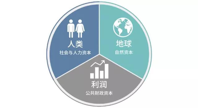 资本运营的内涵,资本运营的内涵和特点(论文引用)