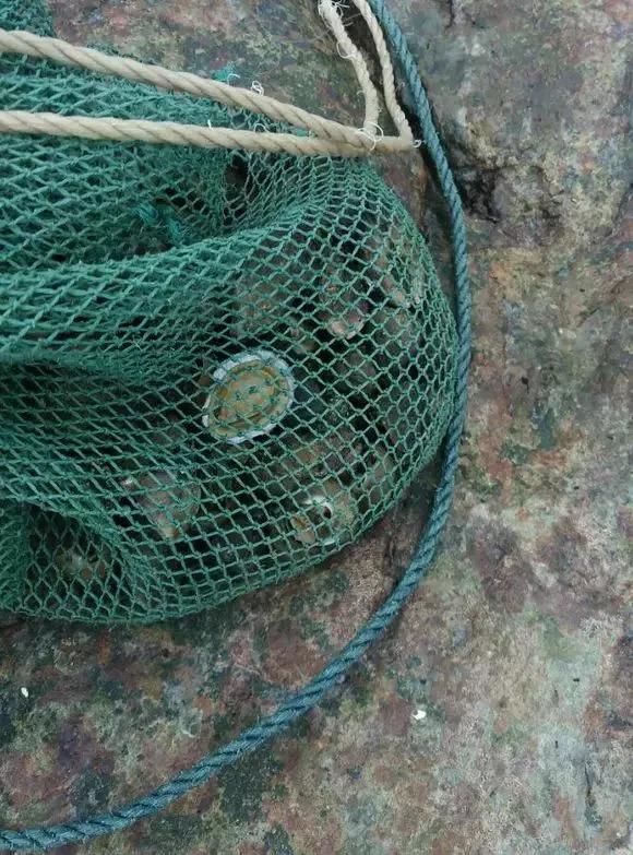 碧海蓝天，去这个小众海岛坐拥漫天繁星，寻觅一个隔世美梦!