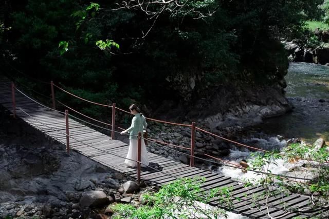 武夷山当地人和旁观者 ，所看到的正岩山场有什么不同？