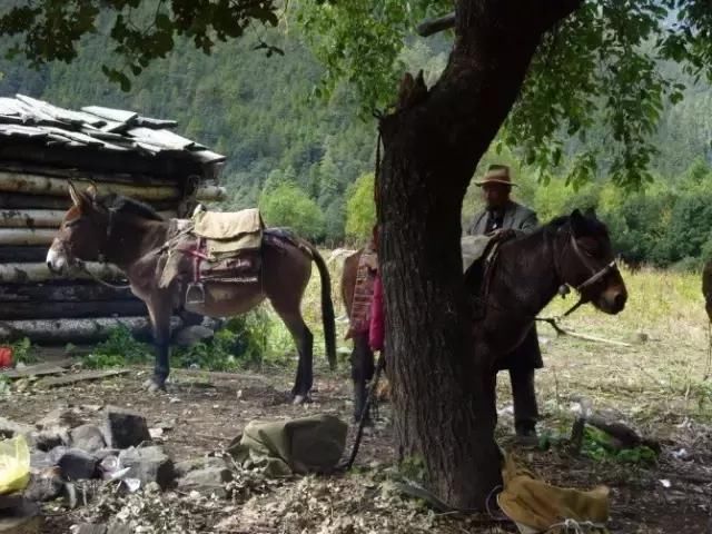 这个云南小山村，被老外评为“中国第一村”！中国人却很少知道