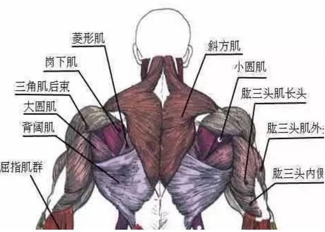 健身房姿势大全:只用跑步机你就亏了!