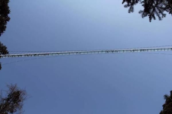 端午专线 挑战华东第一玻璃桥 邂逅磐安灵江源美丽景色_【快资讯】